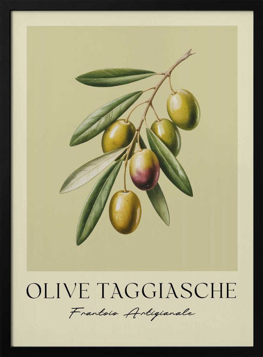 Olive Taggiasche - Poster / Art Print