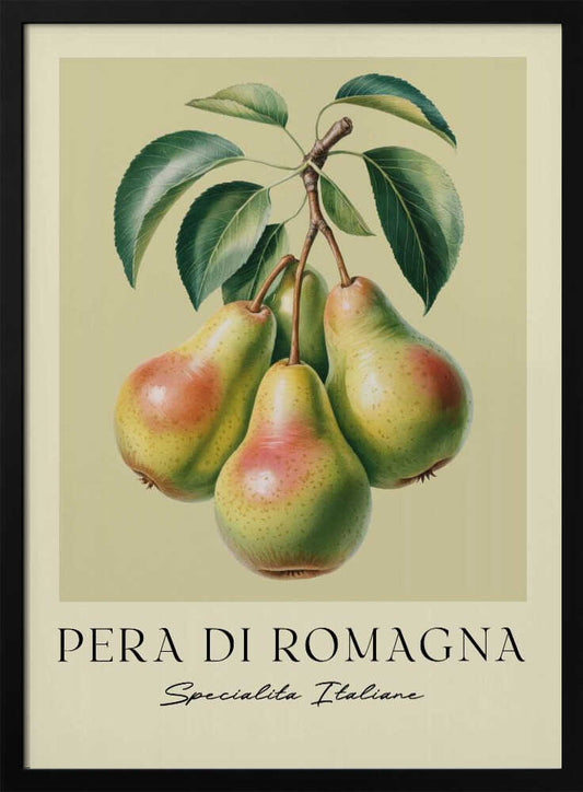 Pera Di Romagna - Poster / Art Print
