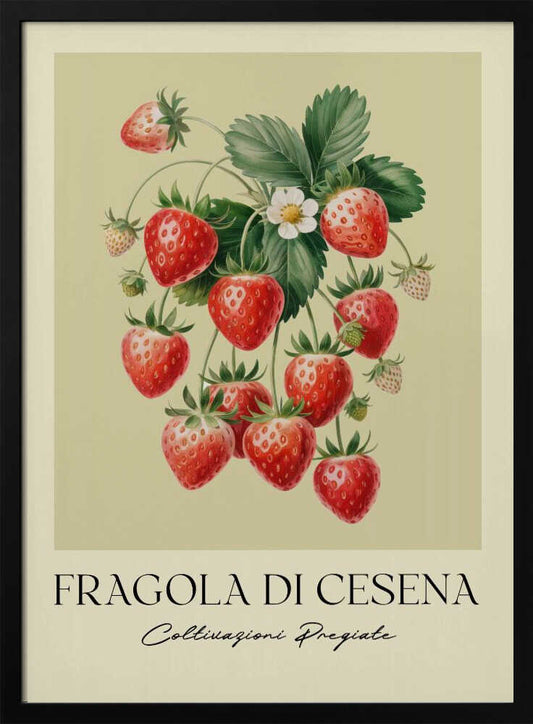 Fragola Di Cesena - Poster / Art Print
