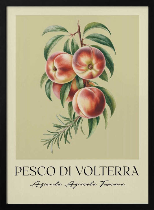 Pesco Di Volterra - Poster / Art Print