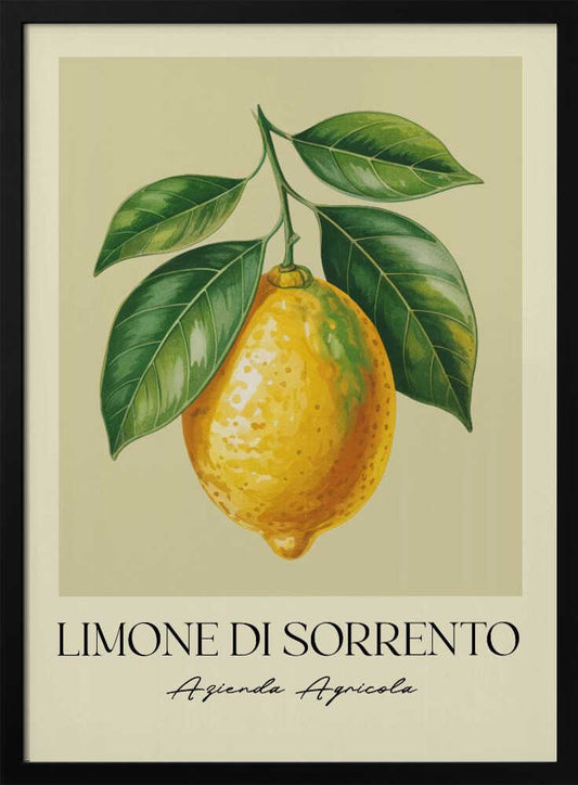 Limone Di Sorrento - Poster / Art Print