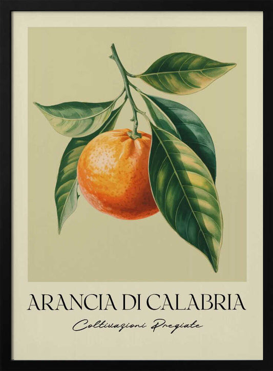 Arancia Di Calabria - Poster / Art Print