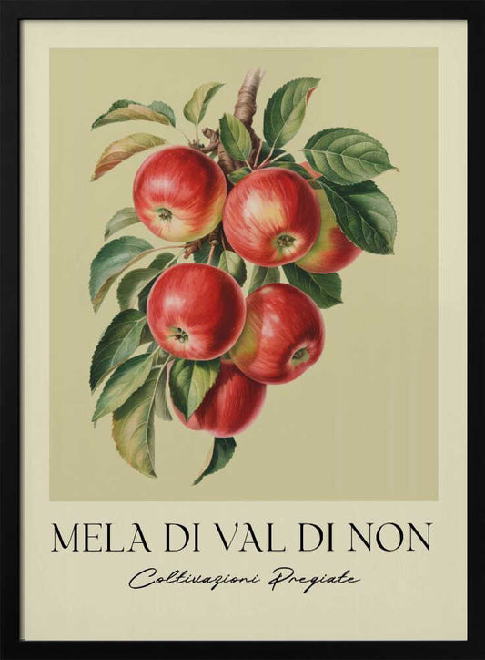 Mela Di Val Di Non - Poster / Art Print