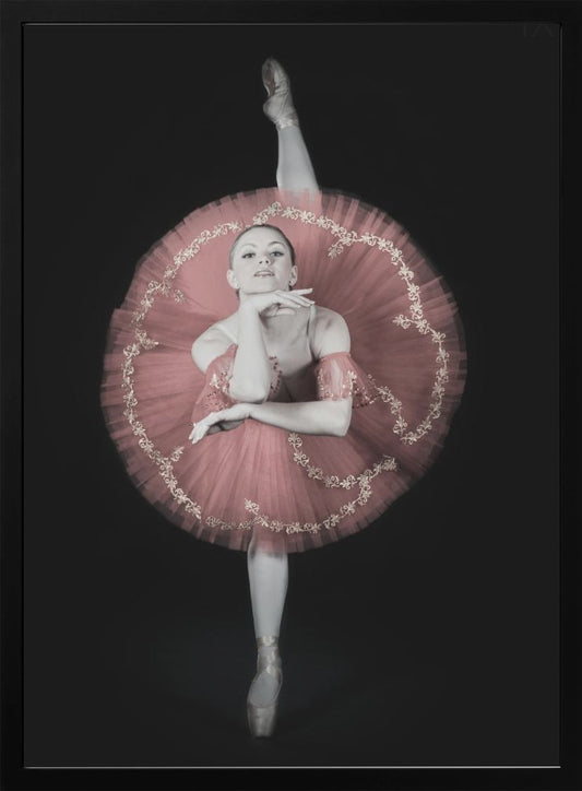 On Pointe - Poster / Art Print