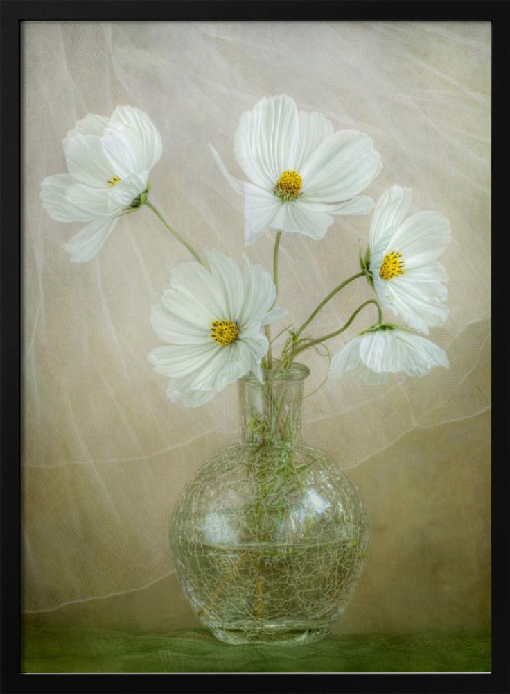 Cosmos breeze - Poster / Art Print