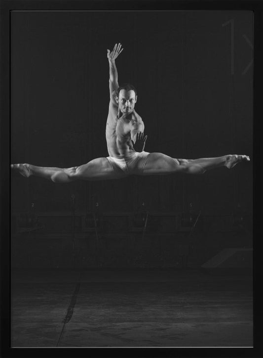 Leap - Poster / Art Print