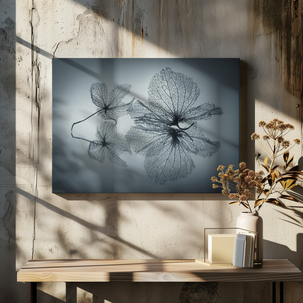Ephemeral Beauty - Poster / Art Print