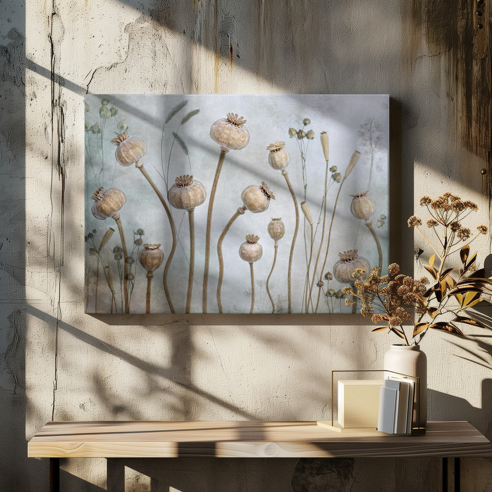 Poppies - Poster / Art Print