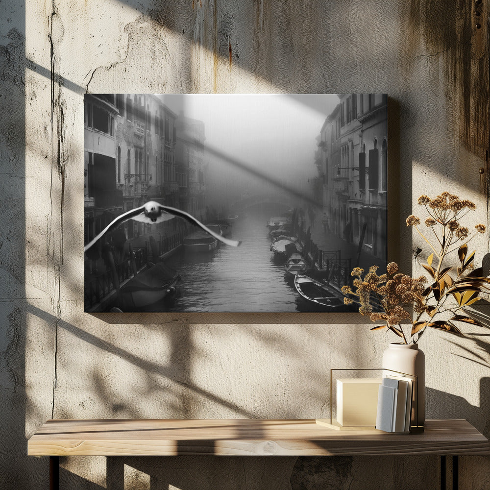 Seagull from the mist - Poster / Art Print