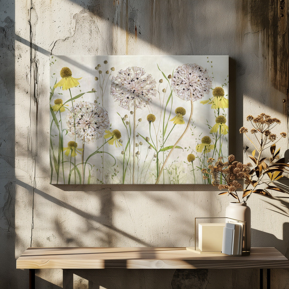 Alliums and heleniums - Poster / Art Print