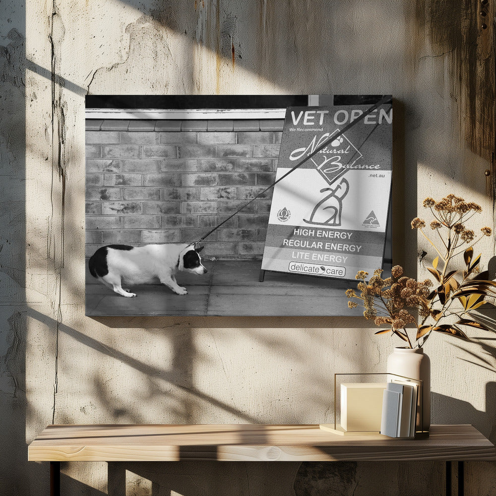 No, no.....definitely NO...! - Posters / Art Prints