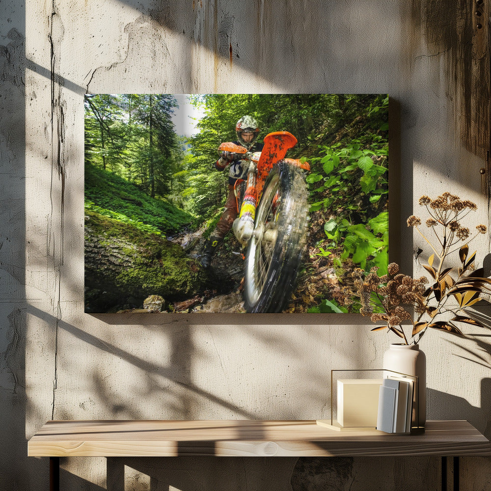 Carpath Enduro - Poster / Art Print