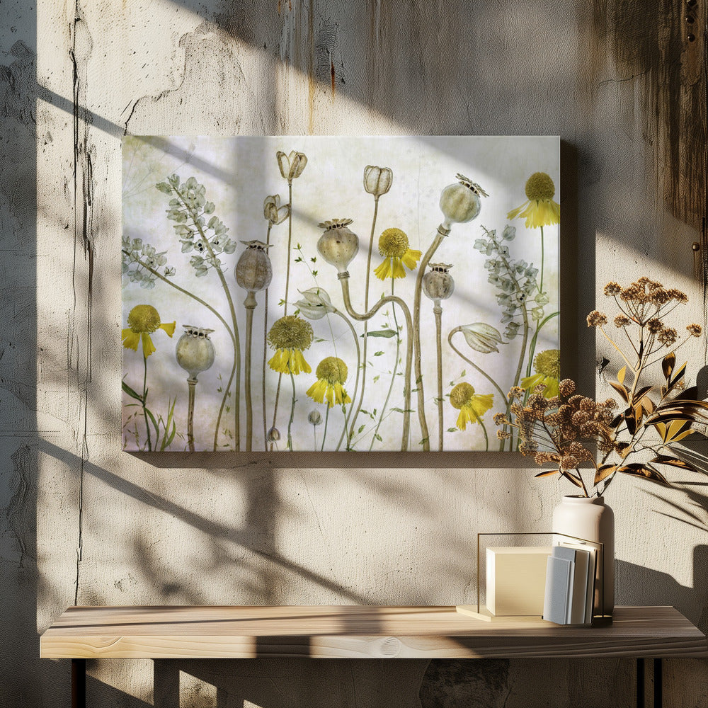 Poppies and Helenium - Poster / Art Print