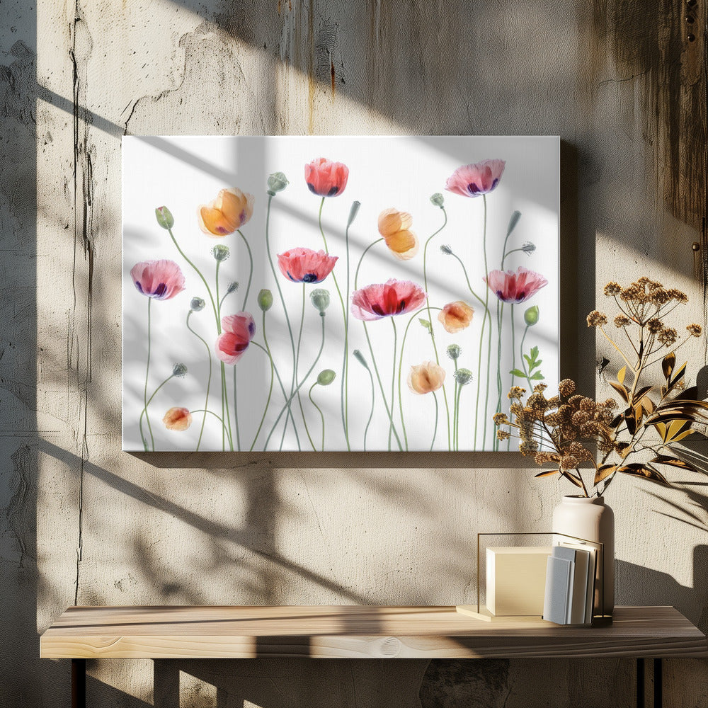 Papaver party - Poster / Art Print
