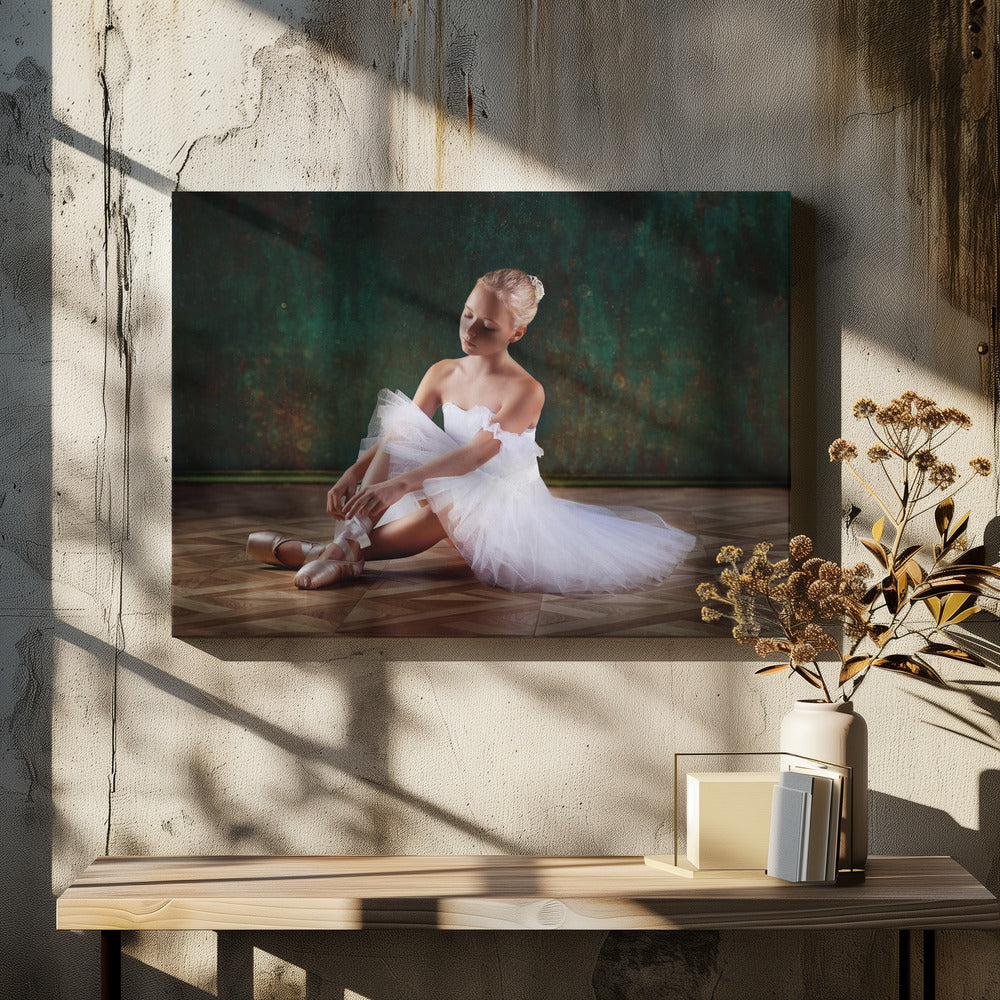 About ballet - Poster / Art Print