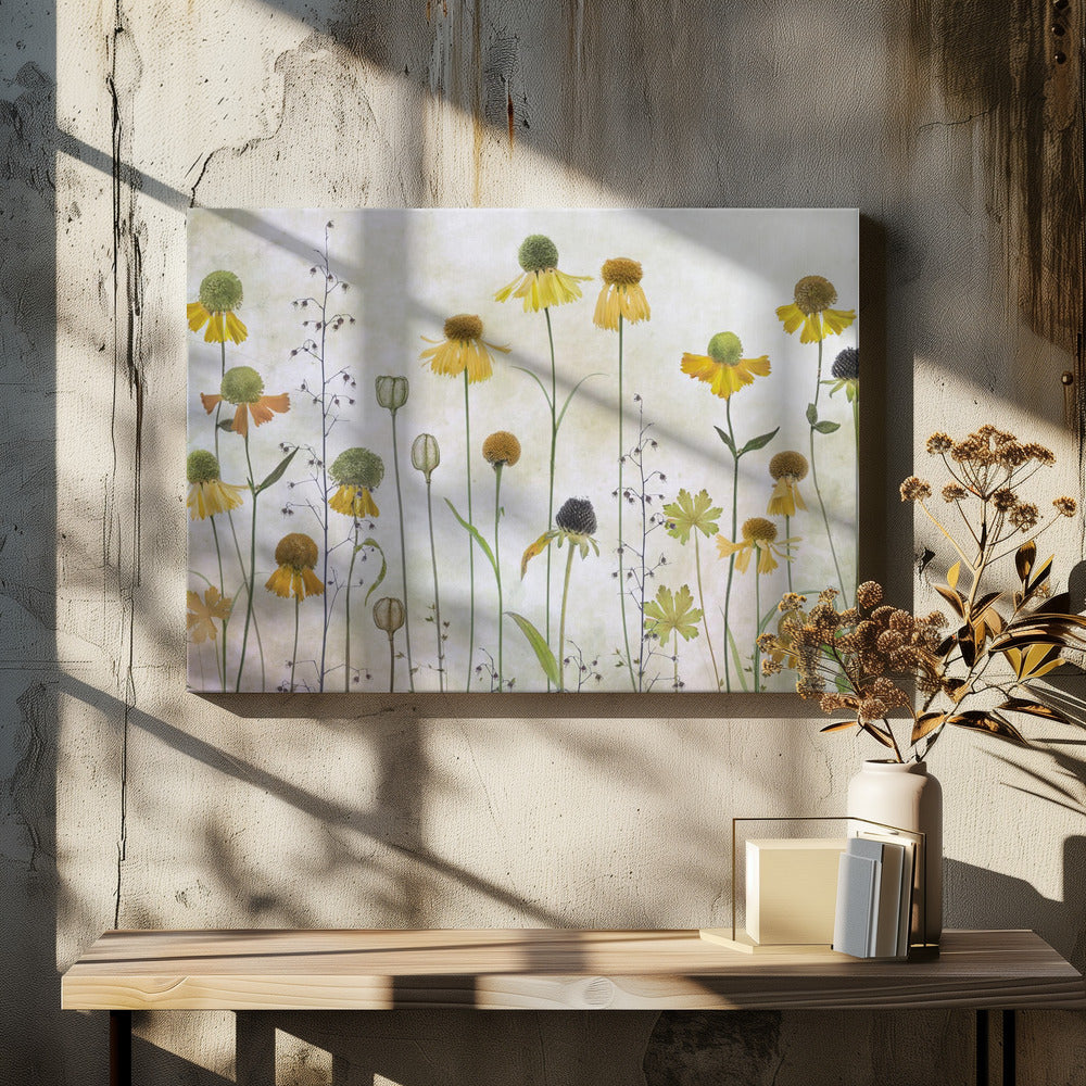 Helenium - Poster / Art Print