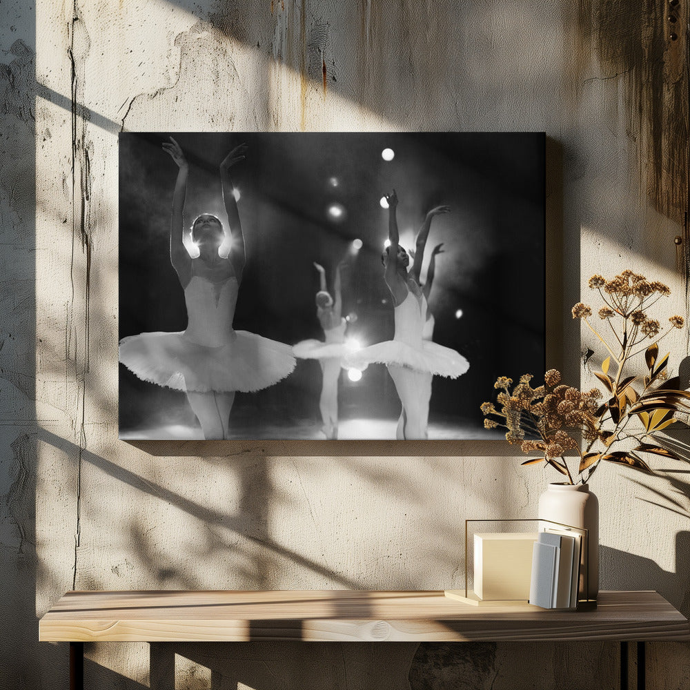 Swan Lake - Poster / Art Print