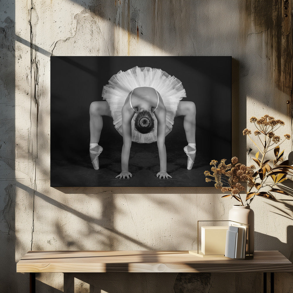 Control in Dance - Poster / Art Print