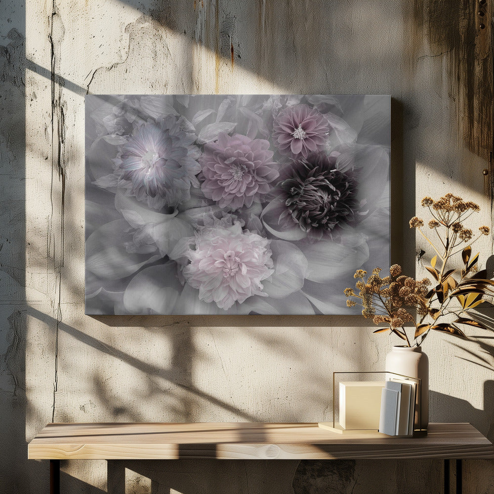 Dahlia dream - Poster / Art Print