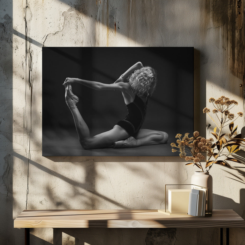 Art Of Movement Series - Poster / Art Print