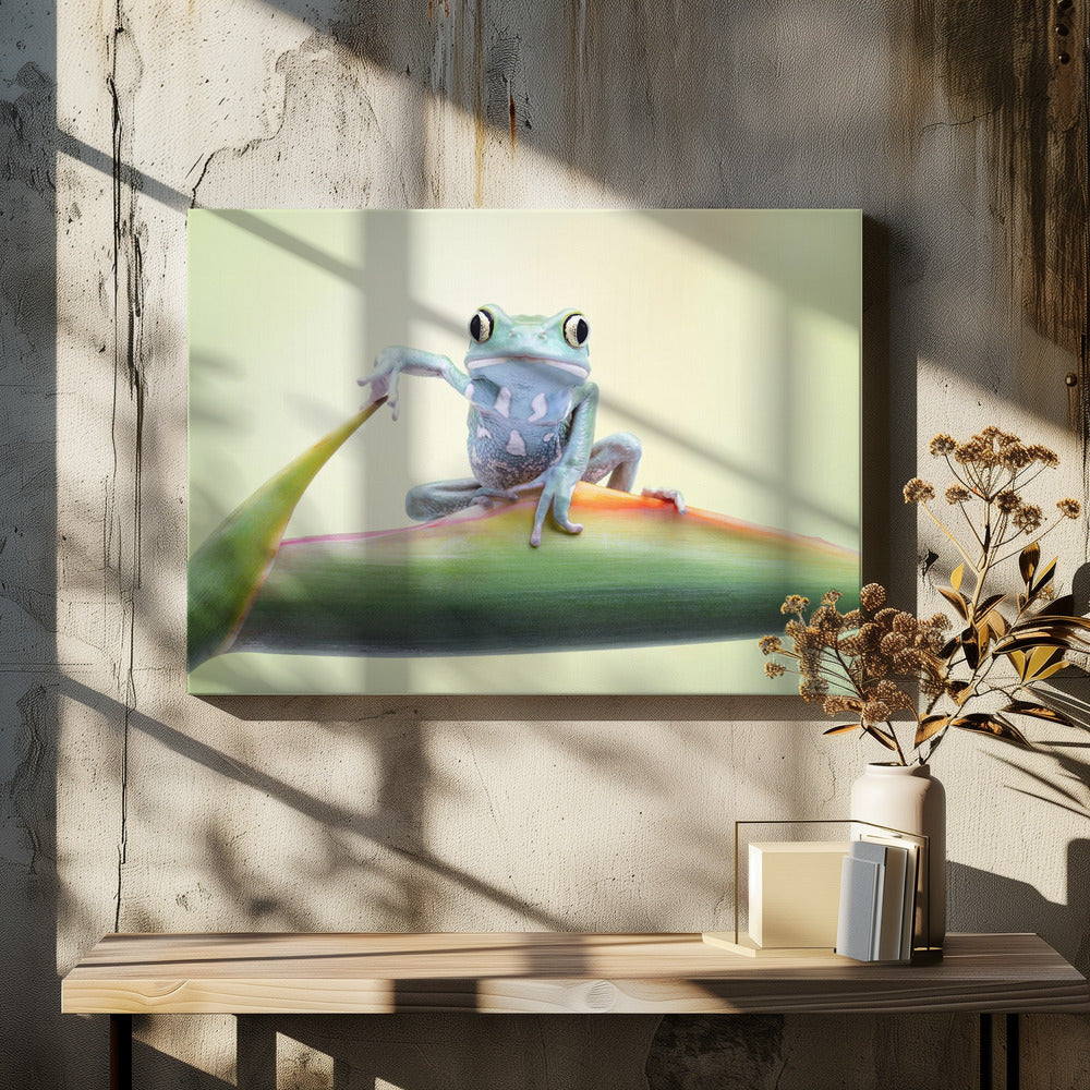 So whaddaya say ?? - Posters / Art Prints