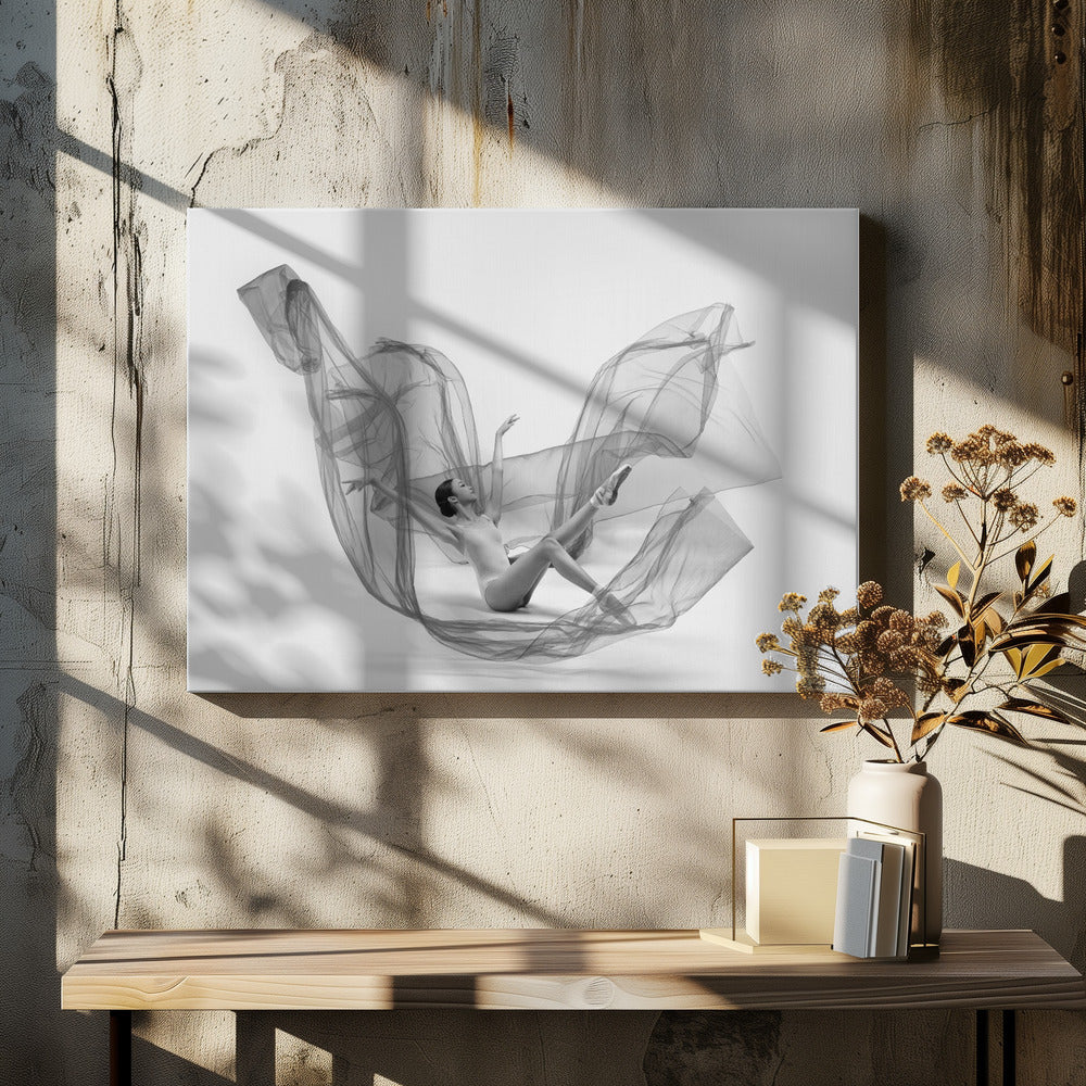 Ballerina Inside the cloth - Poster / Art Print