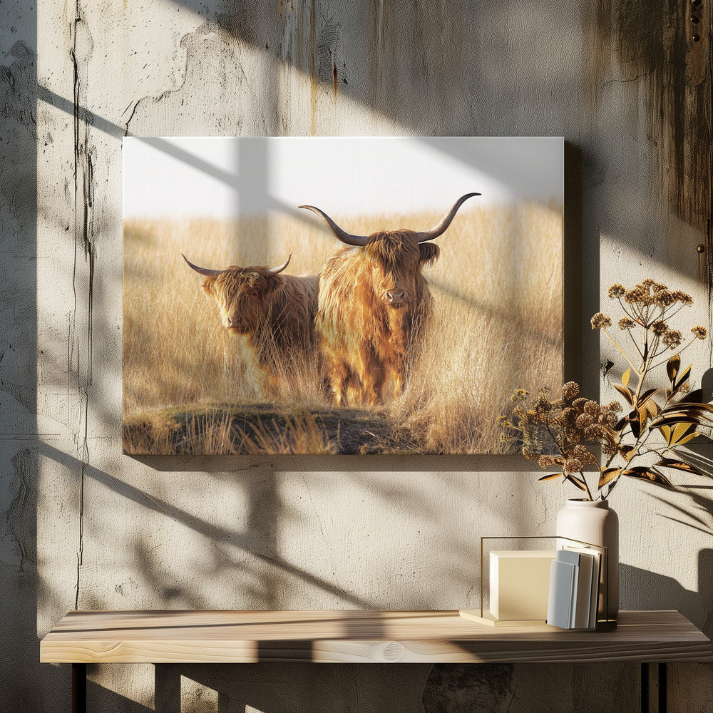 Young and old Highlander - Poster / Art Print
