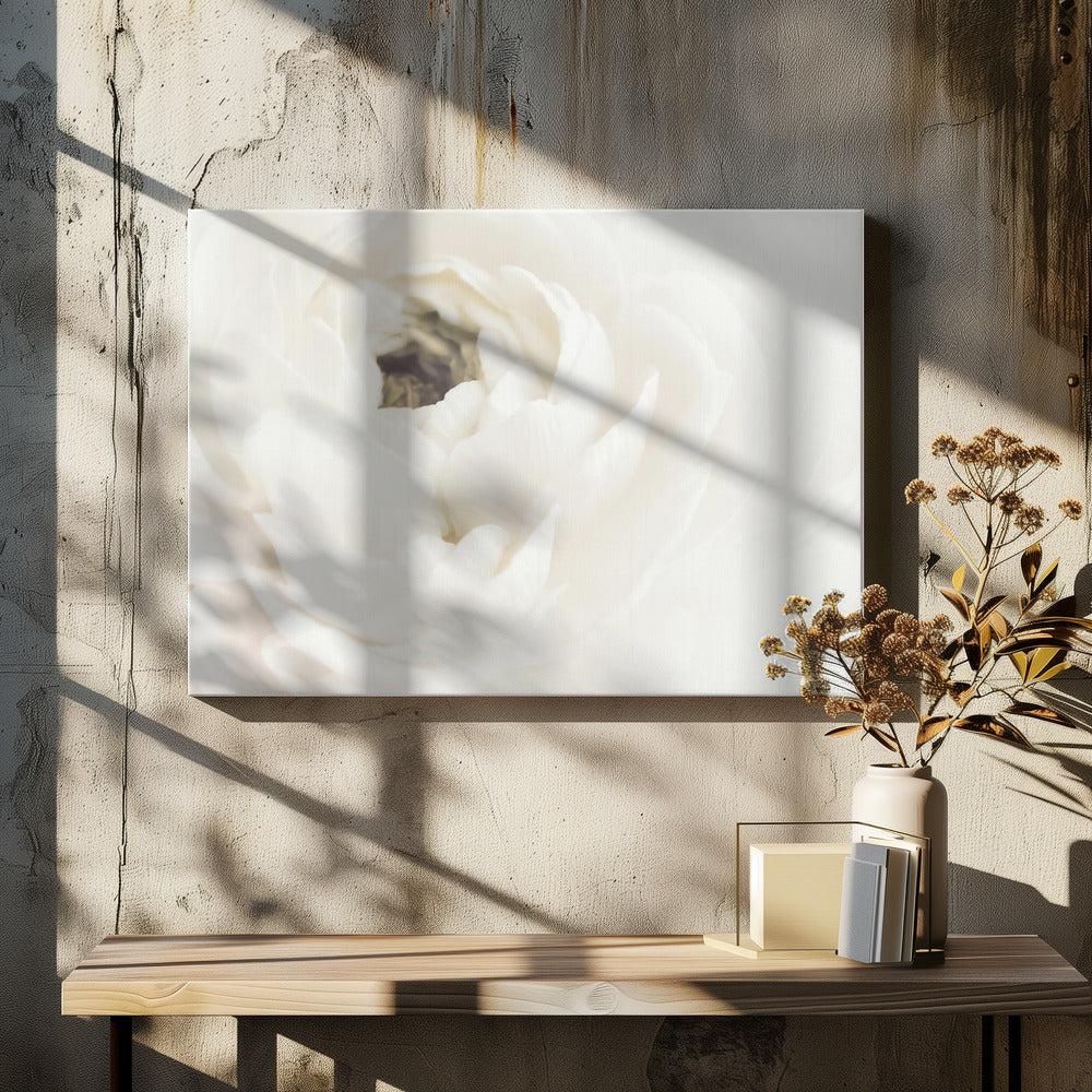 White Flower 02 - Poster / Art Print