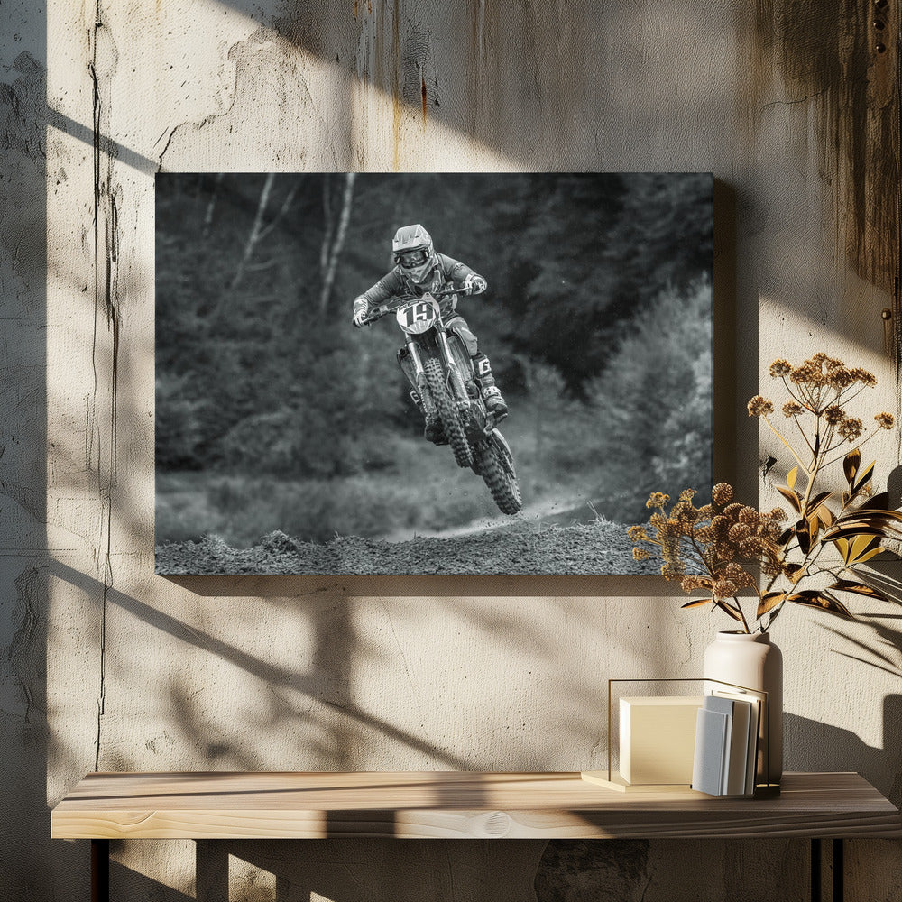 19 - Poster / Art Print