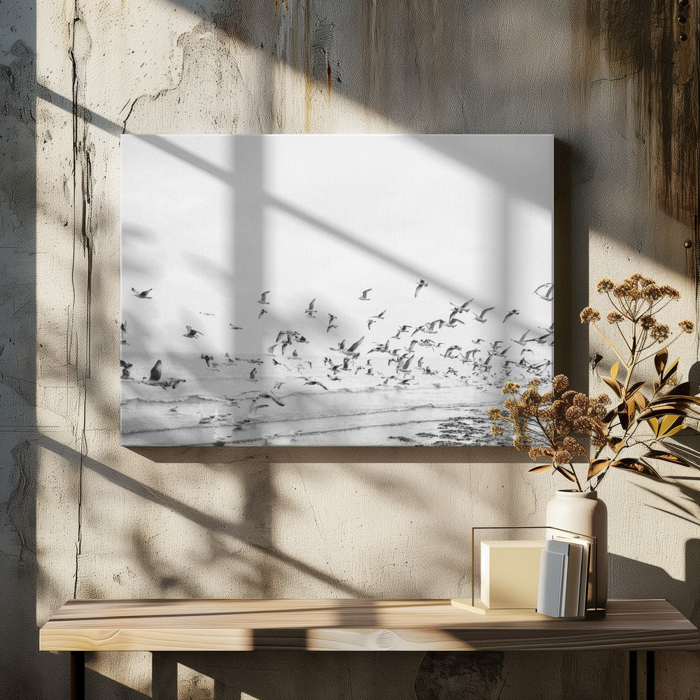 Seagulls - Coastal black and white - Poster / Art Print