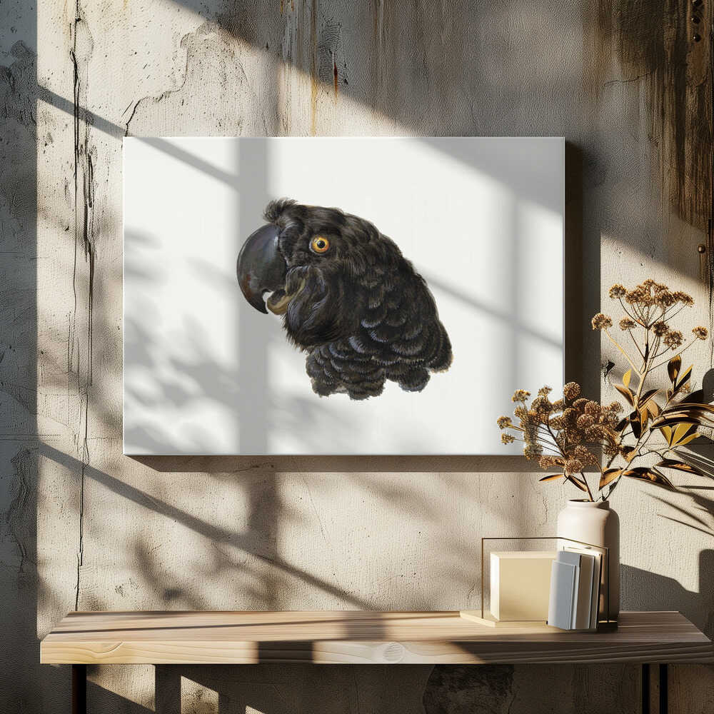 Cockatoo - Poster / Art Print
