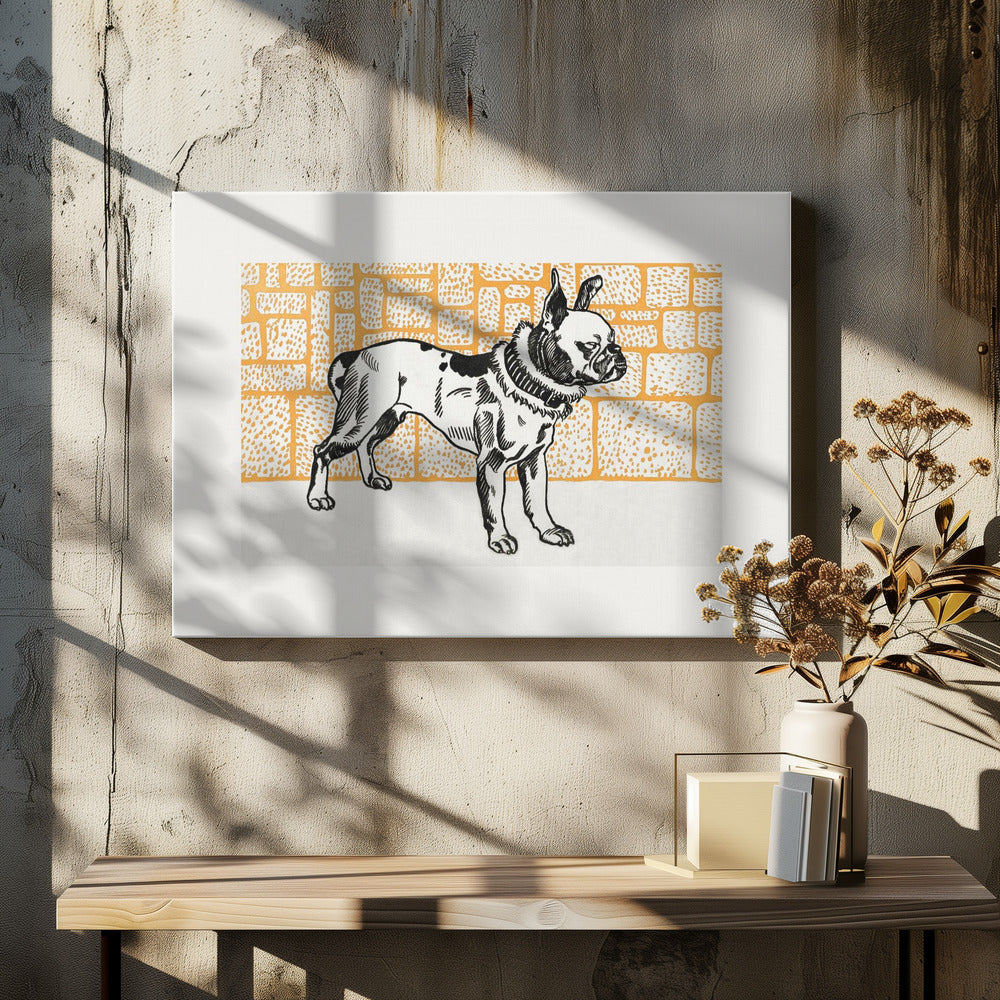 Pitbull Terrier - Poster / Art Print