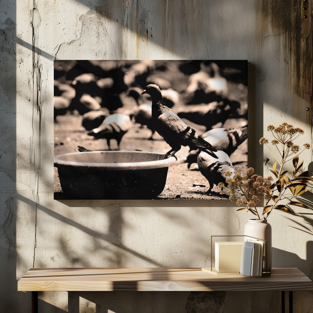 Birds 05 - Poster / Art Print