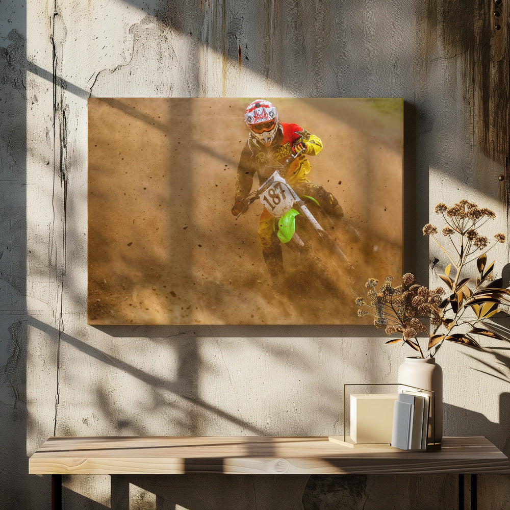 biker - Poster / Art Print