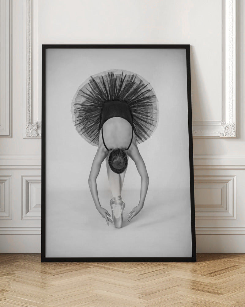 Ballet Technique - Poster / Art Print