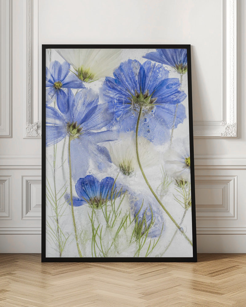 Cosmos blue - Poster / Art Print