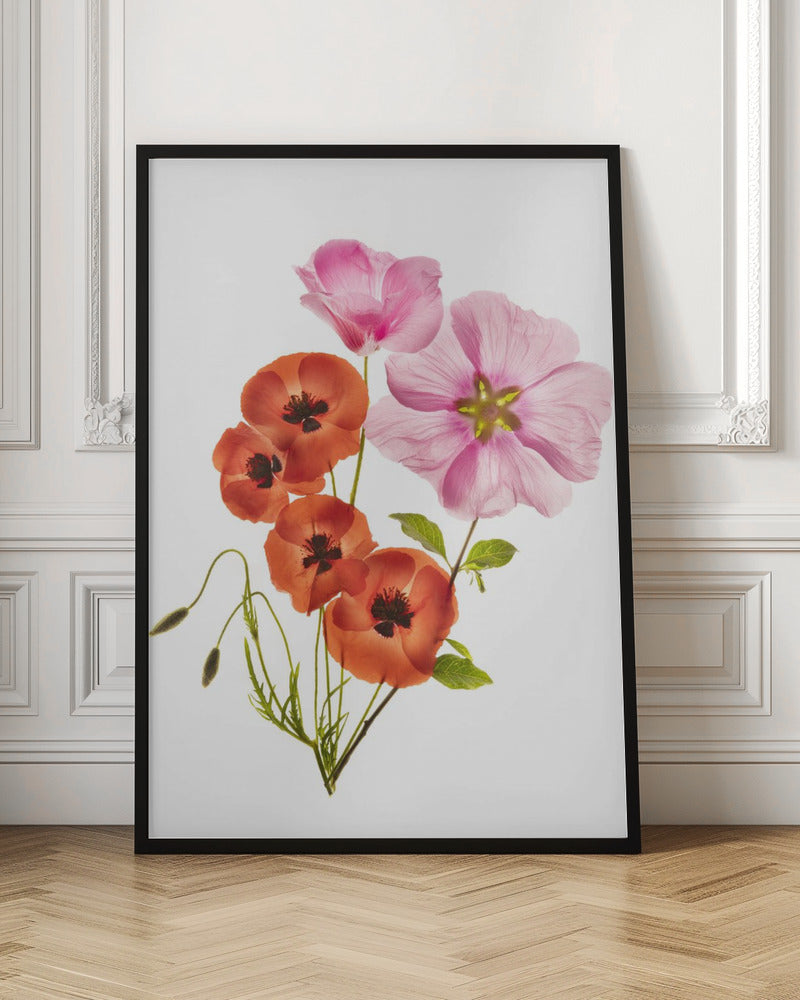 Flower composition III - Poster / Art Print
