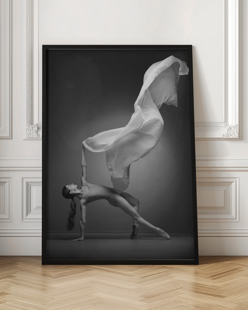 Art Of Movement Series - Poster / Art Print