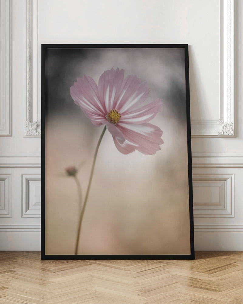 Cosmos - Poster / Art Print