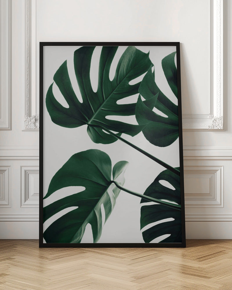 Monstera Natural 43 - Poster / Art Print