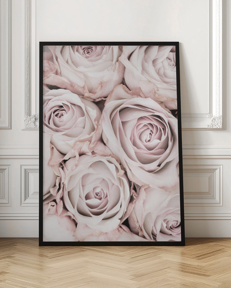 Pink Roses No 01 - Poster / Art Print