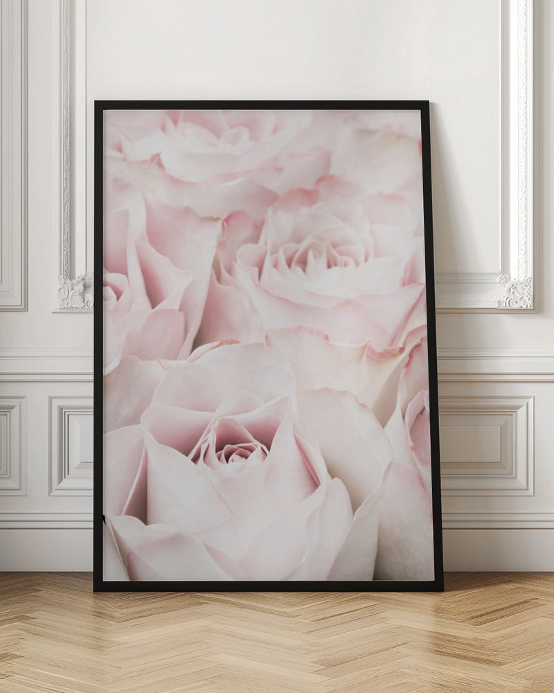 Pink Roses 05 - Poster / Art Print