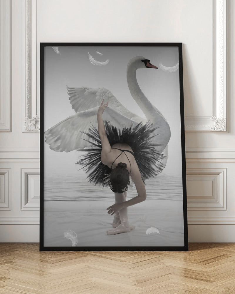 Swan Lake - Poster / Art Print