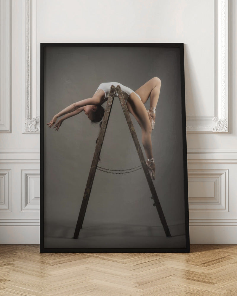 how to use a ladder - Poster / Art Print