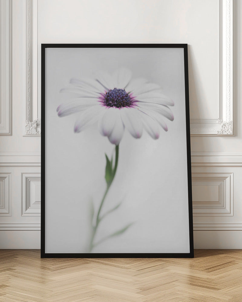 In my garden_3 - Poster / Art Print