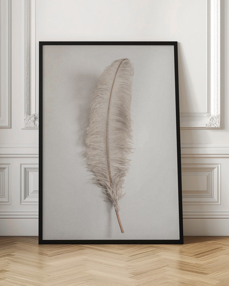 Feather_002 - Poster / Art Print