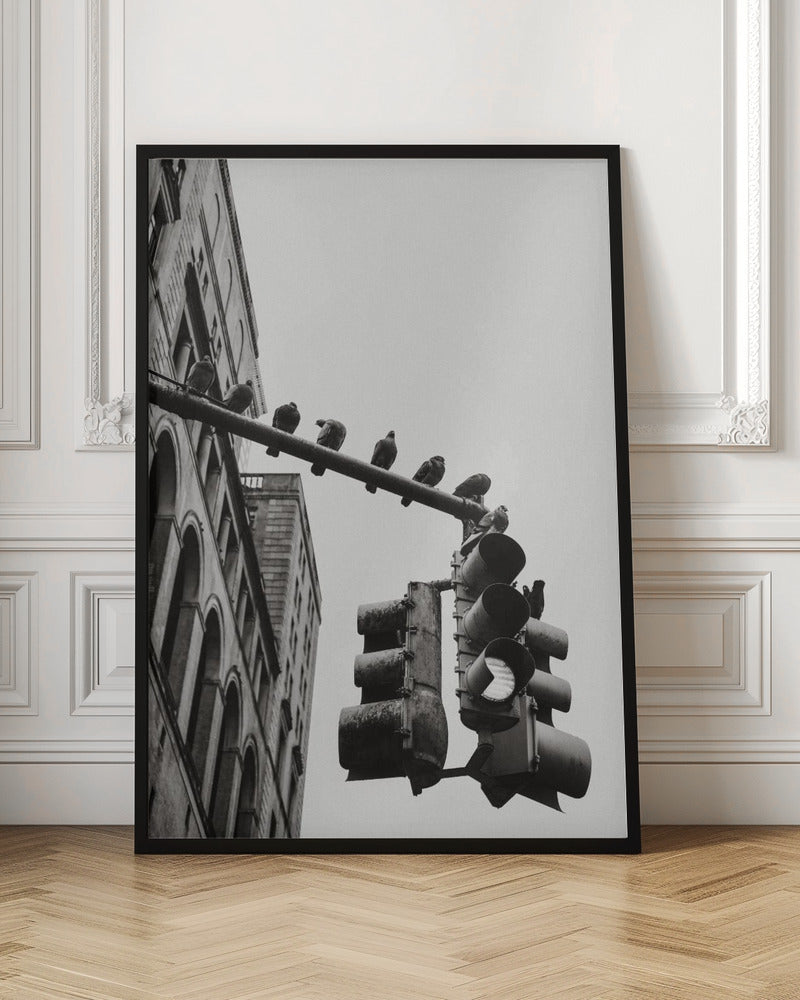 New York City Doves - Poster / Art Print