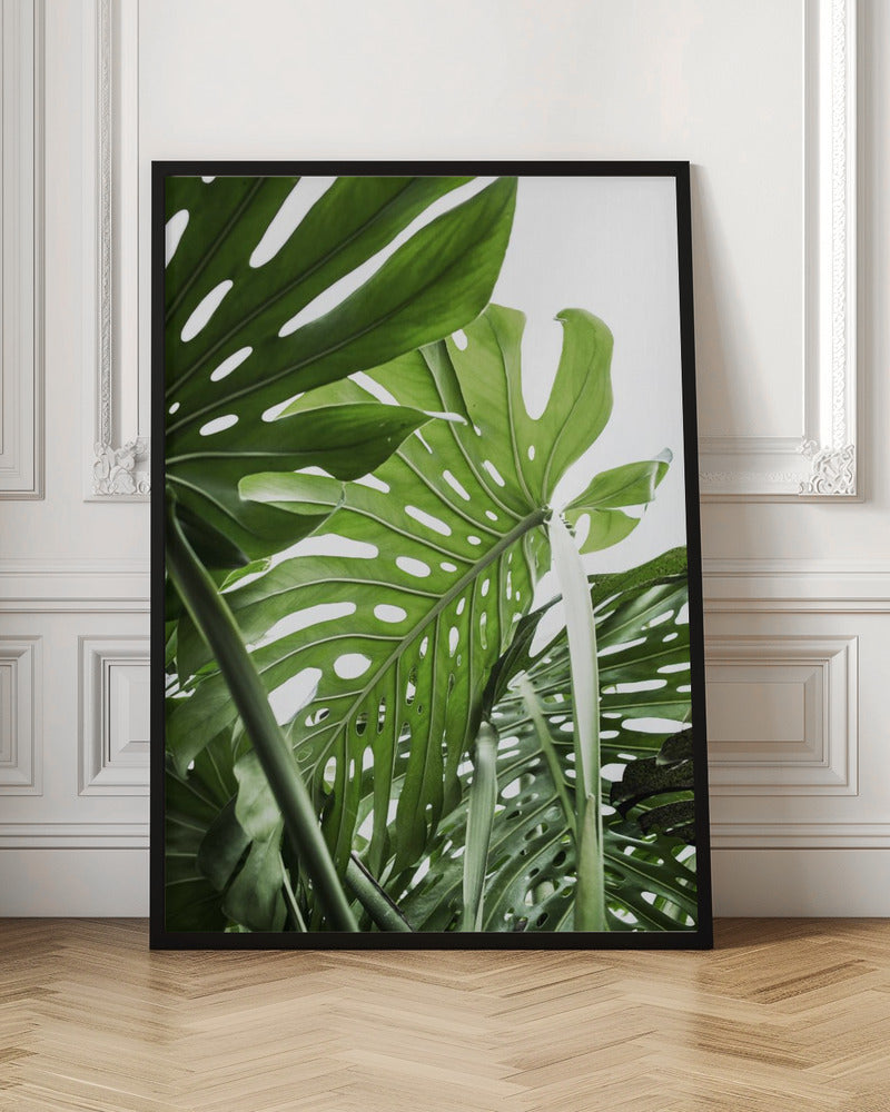 Jungle - Poster / Art Print