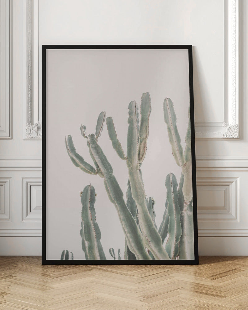 Sunrise Cactus - Poster / Art Print