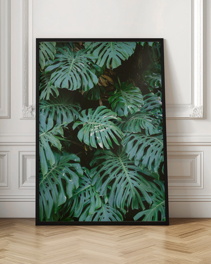 Monstera wall in Lisbon - Poster / Art Print
